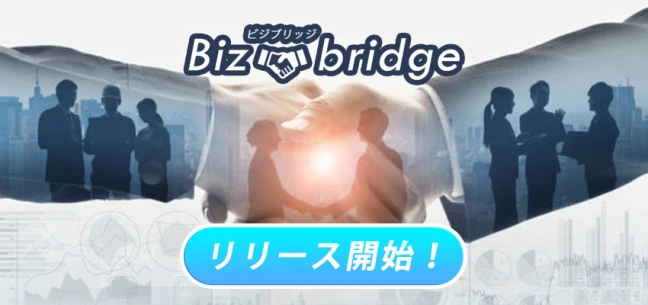 【東京の異業種交流会】ビジブリッジ主催 2024年3月20日
